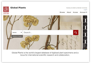 Global Plants – JSTOR