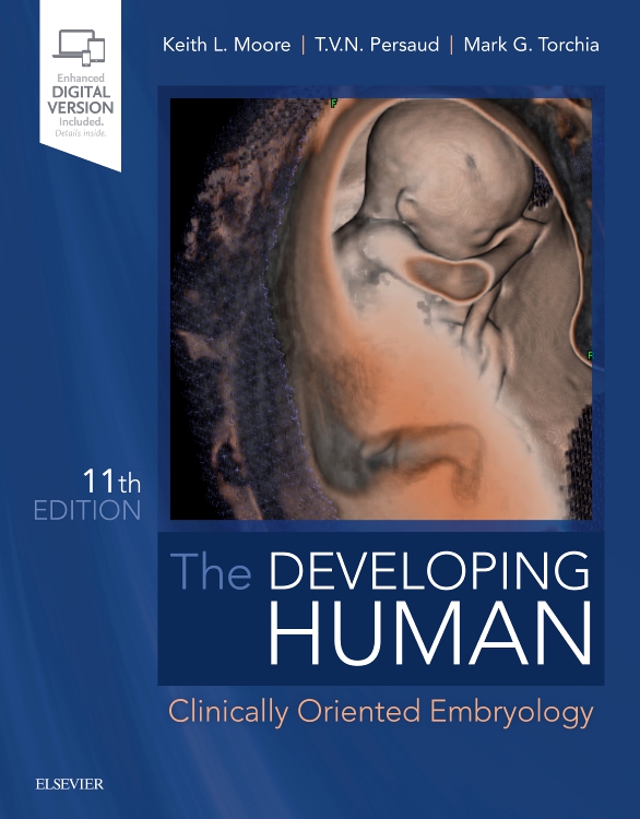 Title: The Developing Human: Clinically Oriented Embryology, 11th ed.